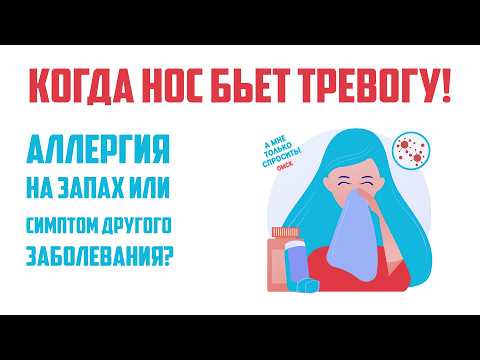 «А мне только спросить. Омск» Когда нос бьёт тревогу! (24.09.26)