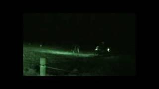 preview picture of video 'Rounding up cows in the darkness on a NZ dairy farm'