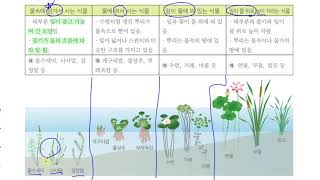 [초등과학 4-2 무료강의] 1. 식물의 생활 ③ 강이나 연못에는 어떤 식물이 살까요? 1