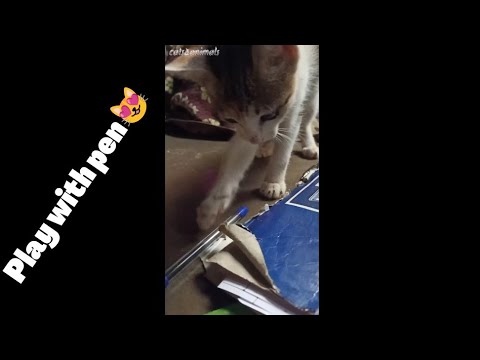 Aishu Playing Pen | funny moments 😀| stress puster 😇 |