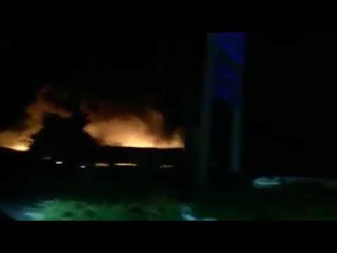 Parassita di kiseijuu di VKontakte Come incidere parassiti allacquaforte da un organismo per mezzo di olio di ricino