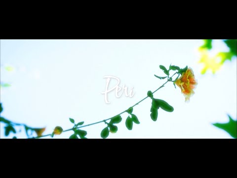 Mehmet Ali Ay - Peri (Official Video)