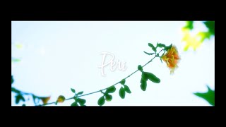 Download lagu Mehmet Ali Ay - Peri mp3