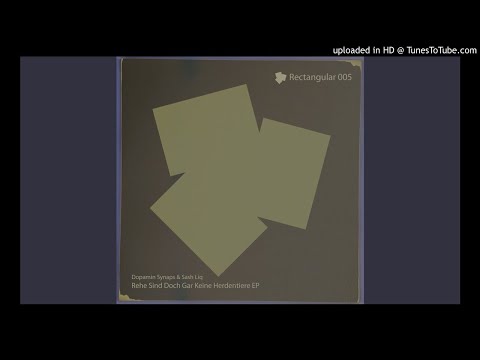 Dopamin Synaps & Sash Liq - Reh Inkarnation (Original Mix)
