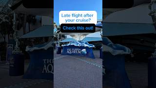What To Do On Disembarkation Day in Tampa (Late Flight Hack) #Shorts