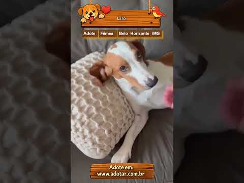 Vídeo de Lilo