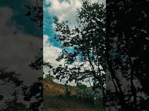 La Aventura En La Tierra De Mis Sueños