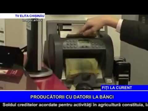 PRODUCĂTORII CU DATORII LA BĂNCI