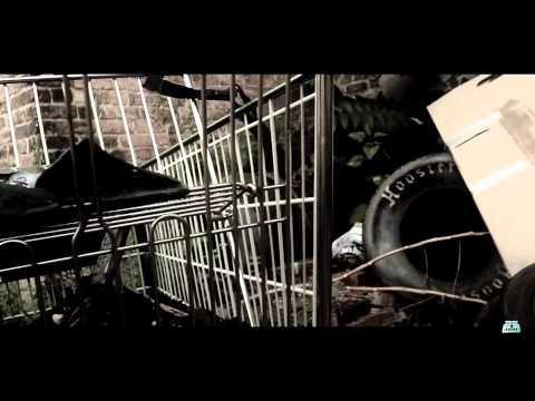 SMASH NIGGAS (THE OFFICAL VIDEO)