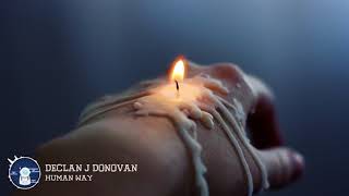 Declan J Donovan - Human Way
