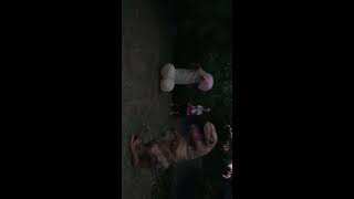 Dick vs Dinosaur - Who will win... FIGHT