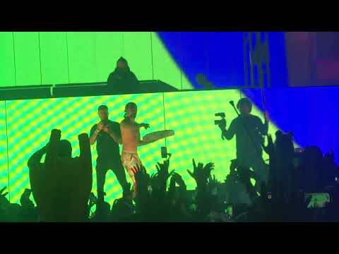 Electric Love Boutique Edition 2021 steve aoki cake me