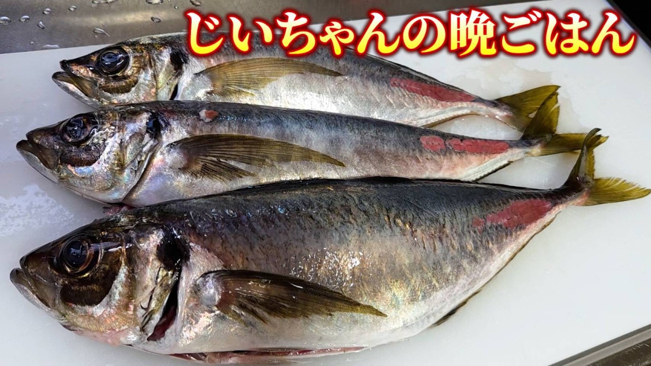【脂たっぷり！】たこ番長が釣ったマアジをお寿司と油淋鶏にして食べるよ！