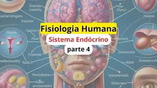 Do Cérebro ao Corpo: A Influência dos Hormônios na Fisiologia Humana