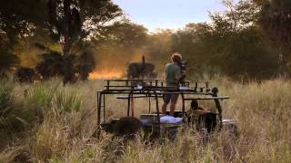 Healing Africa's Elephants