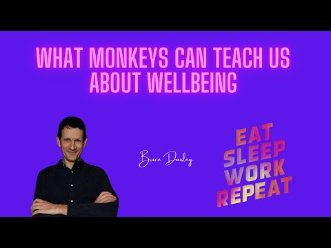 What monkeys can teach us about wellbeing: Bruce Daisley,  #1 Bestselling Author / Podcaster