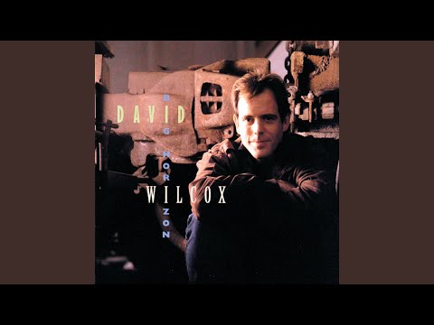 Videoclip de Show The Way — David Wilcox