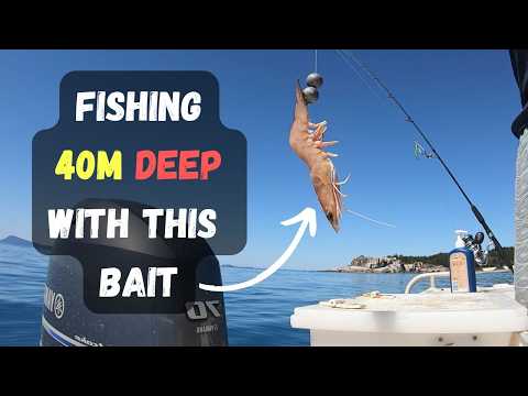 Fishing Deep Tropical Islands 50km out to Sea in Central QLD