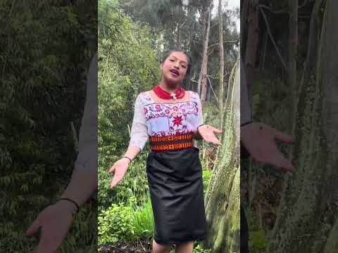 #chimborazo #ecuador #cultura #sumak #riobamba #reels