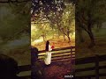 Jhilmil Sitaro Ka Angan Hoga Hindi Old Is Gold Song Status Video Hindioldsong Ytshorts