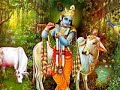 Kambhoju Raju Katha