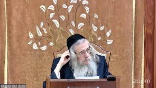 הגה"ח הרב מענדל וועכטר שליט"א - לומדים במאמר הרבי הרייצ ד"ה מאי חנוכה חלק ד (הרב אברהם מנחם מענדל וכטר) - התמונה מוצגת ישירות מתוך אתר האינטרנט יוטיוב. זכויות היוצרים בתמונה שייכות ליוצרה. קישור קרדיט למקור התוכן נמצא בתוך דף הסרטון