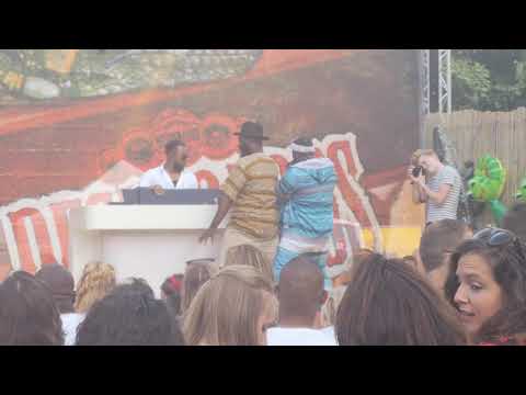 Def rhymz @ electronic picnic