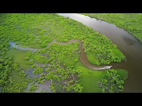Lagamar de Guaraqueçaba - PR