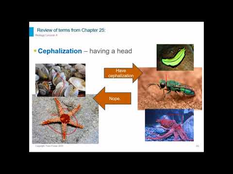 Biology Chapter 26.1