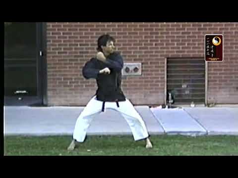 Wansu – Shihan Robert Cusumano