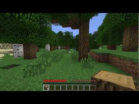 Minecraft with Ian and Zach - Episode 1