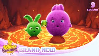 Download lagu The Floor Is Lava! - SUNNY BUNNIES | BRAND NEW EPISODE | Season 9 | Cartoons for Kids mp3