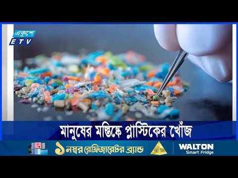 মানুষের মস্তিষ্কে প্লাস্টিকের খোঁজ পেয়েছে