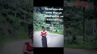Download lagu ,නංගිලාට දැගලිල්ල හැදේන්නැති සුරංග අයියගේ ලස්සනට 🤗 #youtubeshorts #trending #foryou #viral #driver mp3 Download lagu ,නංගිලාට දැගලිල්ල හැදේන්නැති සුරංග අයියගේ ලස්සනට 🤗 #youtubeshorts #trending #foryou #viral #driver mp3