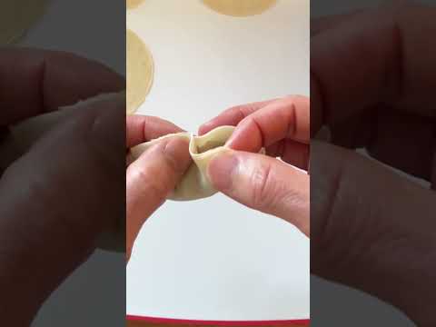 How to wrap dumplings  #gyoza #cooking