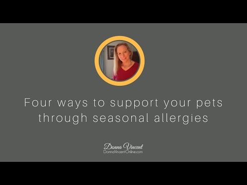 Are your dogs or cats suffering from seasonal allergies?
