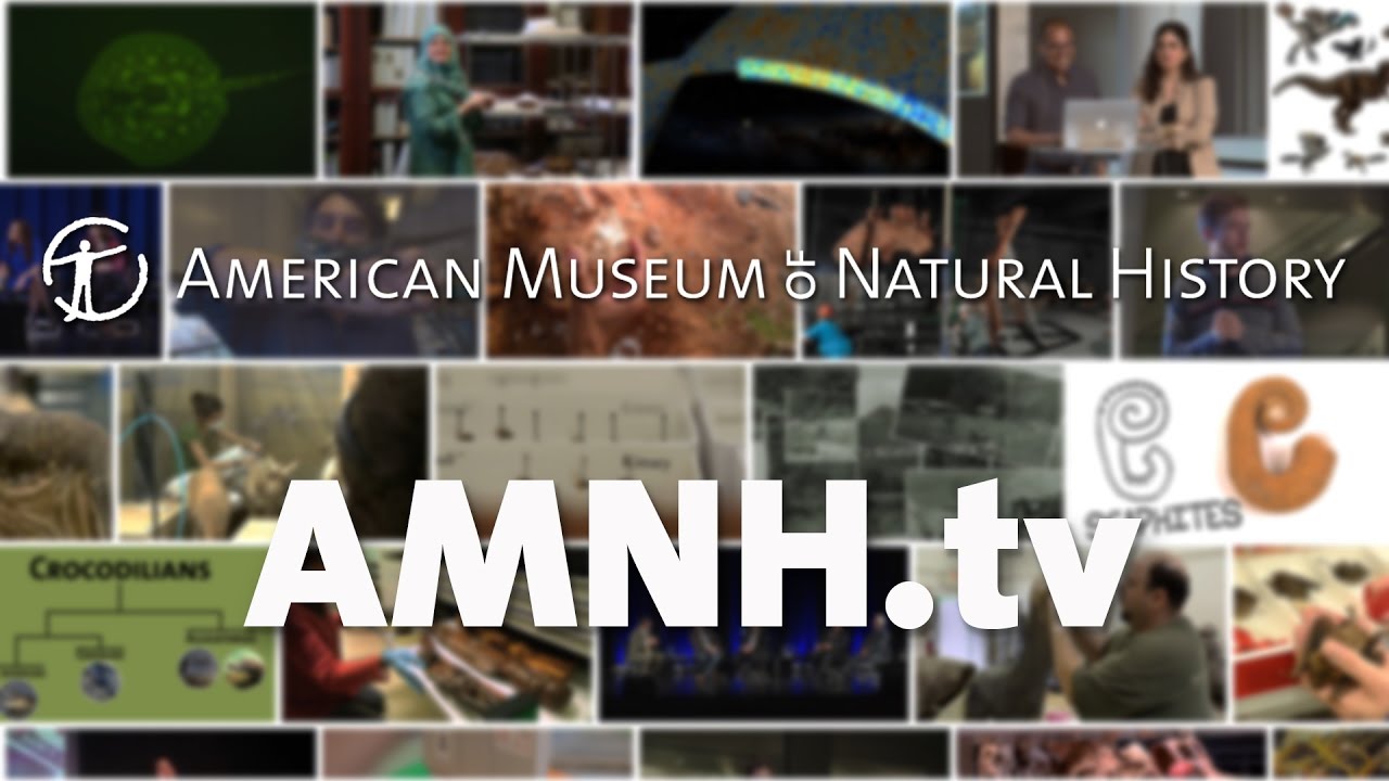 AMNH Channel Trailer