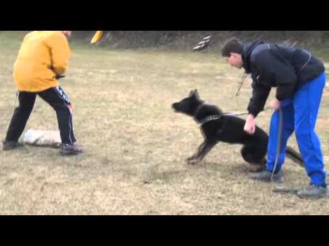 Grace Vikar - protection, 8 months