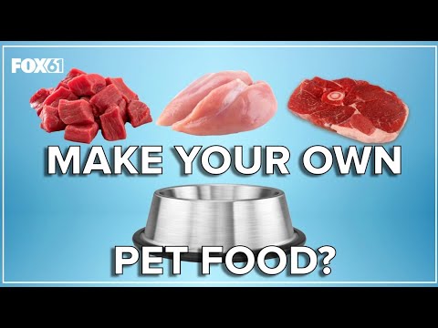Navigating the pet food shortage