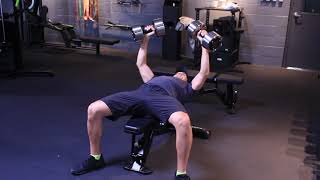 Chest DB Flat Bench