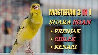 Download lagu KENARI GACOR ISIAN CIBLEK, PRENJAK, MASTERAN DAN PANCINGAN Kenari Paud belajar Bunyi DAN GACOR |437 mp3