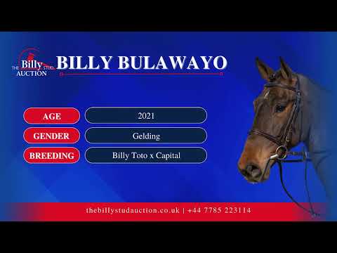 Billy Bulawayo