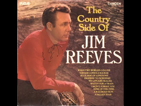 A Fallen Star - Jim Reeves