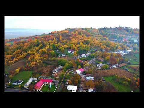 Cândești Neamt - 2023