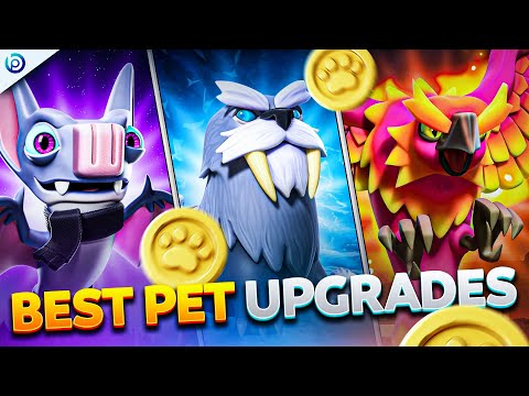 BEST Pet Upgrade Priority Guide | Which Pets to Max First!