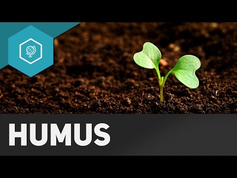 Humus and Humification - Soil Basics 3