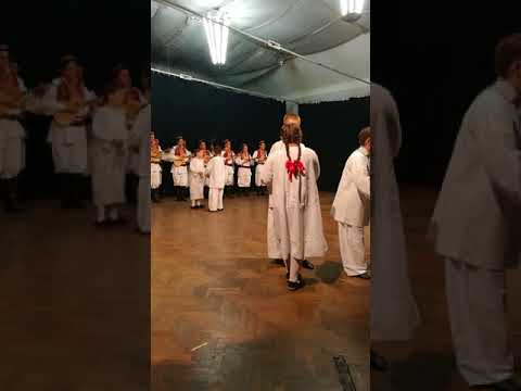 Lepi moj vrtic - pjesme i plesovi medimurja