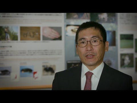 Aiming to elucidate the species diversity in Asian vertebrates and the history of their evolution