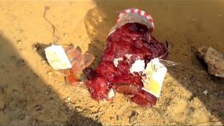 Garbage - Big Bright World