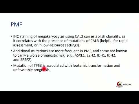WHO updates in MDS and MPN – Dr. Nahlah AlGhasham (September 15-16, 2023)